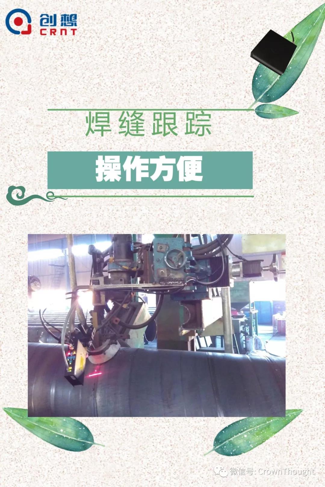 粽葉帶來的不僅僅是粽子，還有...