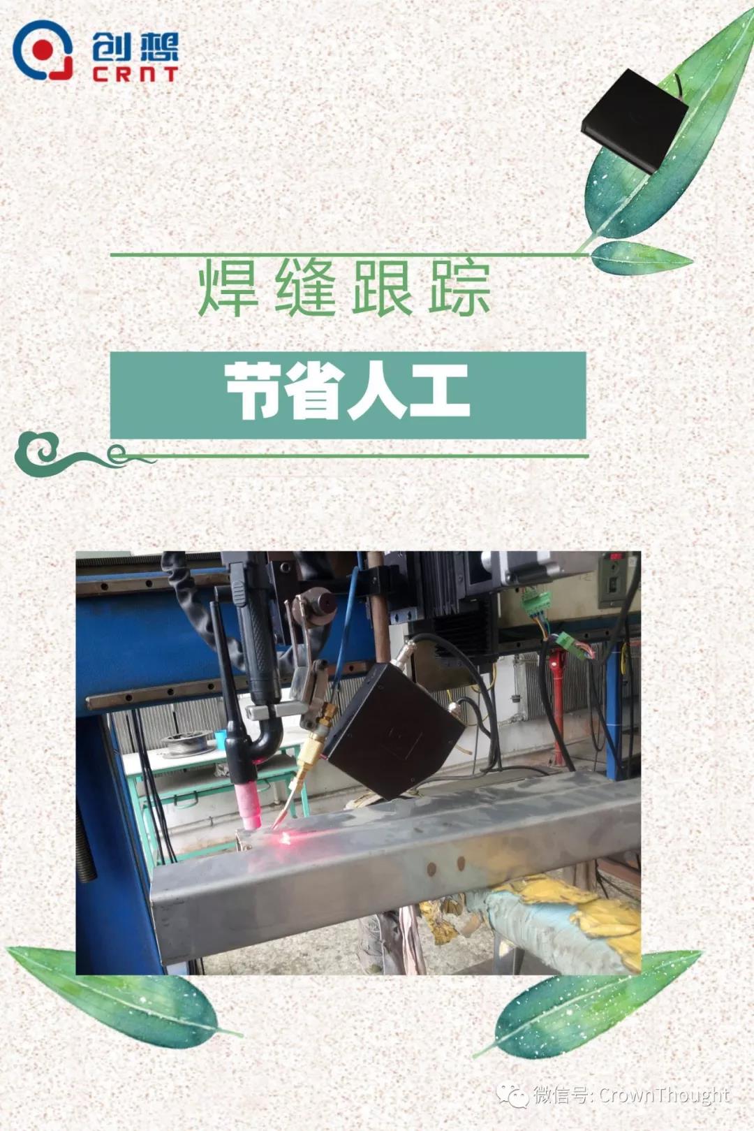 粽葉帶來的不僅僅是粽子，還有...
